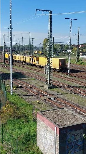 DB Bahnbau/Netz Instandhaltung BR 203 Teil1 #eisenbahn #trainspotting #train #railway