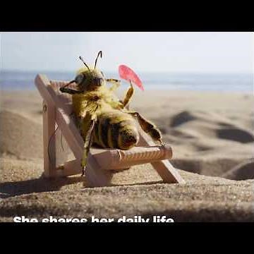 The incredible story of @Bee_nfluencer