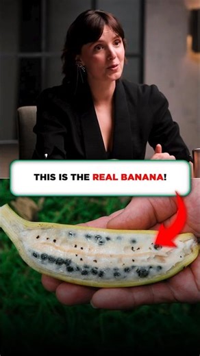 What Happened to Modern Fruit!? 🍌😲