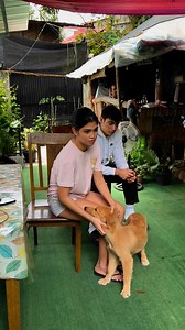 202K views · 1K reactions | Ms. Heaven Fun & Wild Dog Training Services and Rehabilitation Center殺凉 #kapangiltv #dogs #dogoftheday #dogtraining #goldenretriever | Jun Palomar | Facebook