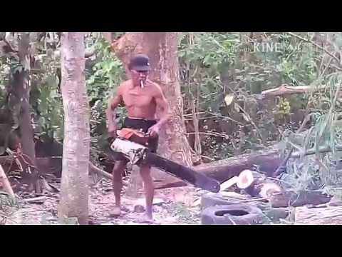 Tukang Potong Kayu Pakai Gergaji Mesin