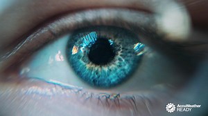 Did you know that harmful ultraviolet rays from the sun can reflect off of snow and temporarily impact your vision? Find out what snow blindness is and how to prevent it so you can be #AccuWeatherReady this winter! | AccuWeather