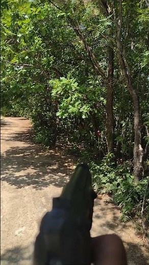 beretta elite 2 CO2 pistol with laser aiming shooting test.most accurate air pistol. one hand only!