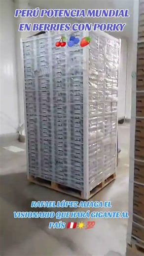 PORKY es el hombre que necesita el Perú