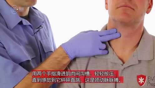 如何找到颈动脉脉搏？