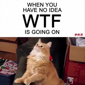 LOL! | Pink Boutique