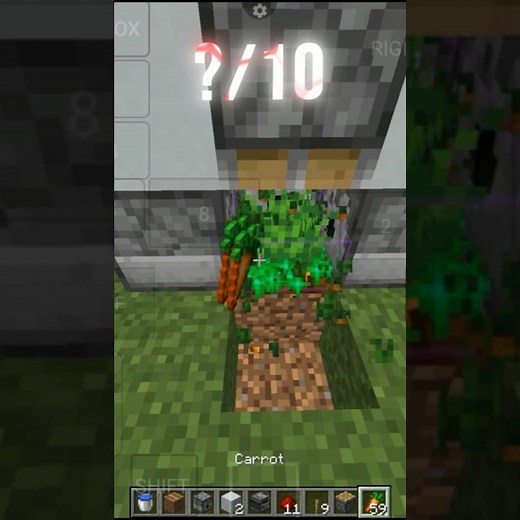 How to make Infinite carrot in minecraft 🥕| Notspider
