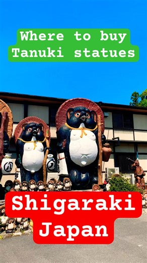 We Traveled to Japan Just to Buy a Tanuki?! 🇯🇵🐾 (Shigaraki Adventure)