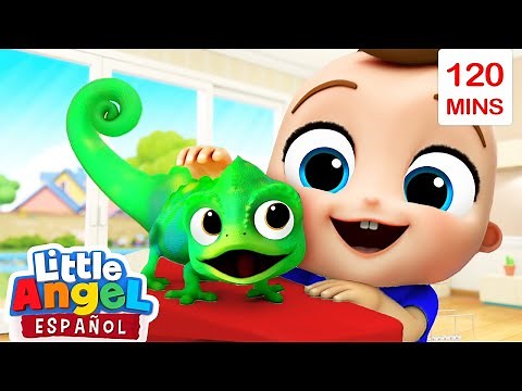 Una Nueva Mascota 💖​ | Canciones Infantiles | Little Angel Español