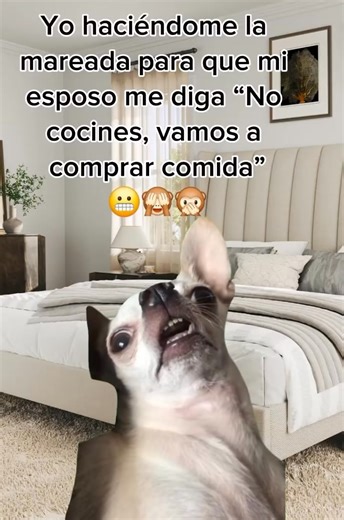 #YaMePreguntoQueArasDeComer 🫩🫩😏😏 | Laura Ramirez