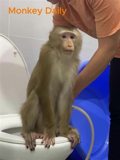 A deep clean after the sticky mess | Cleaning Video