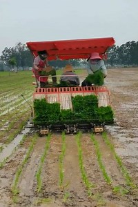 529K views · 3.6K reactions | Agriculture Technology - Amazing planting technology in the farm. | K E T a w a | Facebook