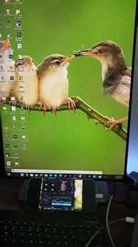 Testing use iphone as a third screen monitor