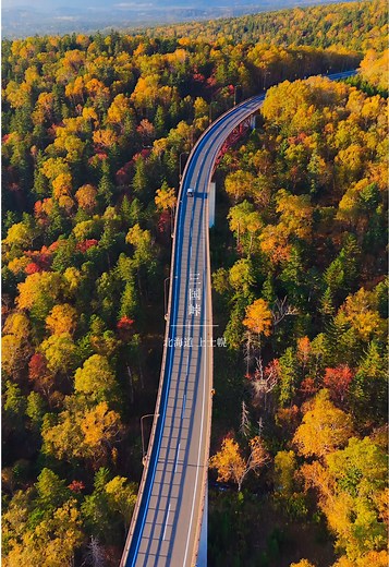 三国峠の紅葉：北海道で絶景を楽しもう