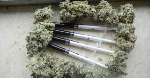 Full Extract Cannabis Oil (FECO) Guide | Benefits & Uses