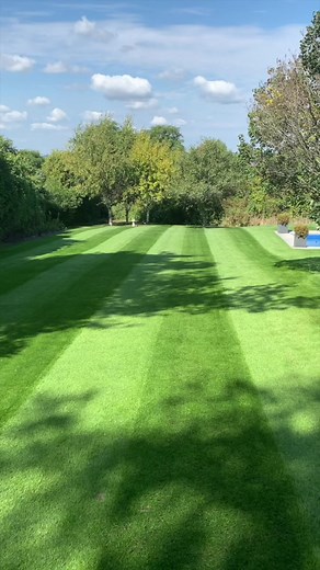 WANT THIS LAWN? Five Week Lawn Renovation in four and a half minutes. I get this question all the time. Like ALL the time! Obviously you don’t have to follow all the steps, but this is probably where you want to end up. So go slow. Make a plan. Enjoy it. If you have any question just drop them in the comments section. #Lawn #Lawngoals #lawncare