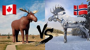 Norway Beat Canada's Largest Moose World Record—This Means War