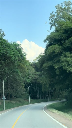 Discover the Beauty of Nyungwe Forest, Rwanda