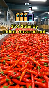 How to Export Red Chilli Powder from India? Hello Friends, Exporting red chilli from India starts with selecting the right quality and variety based on the target market. An exporter must obtain an IEC, register with the Spice Board of India, and ensure proper grading, packaging, and quality checks. Understanding HS codes, documentation, and buyer requirements is key. With strong global demand, red chilli export offers great opportunities for Indian exporters who focus on quality, compliance, an
