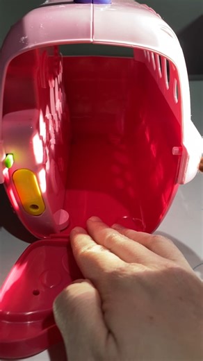 Watch Review of Vtech pet carrier on Amazon Live