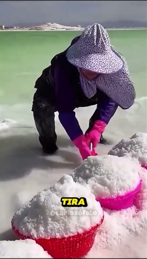 Would you step in this without knowing what it is? #nature #curiosities #shorts