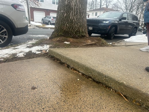 Staten Island sidewalk damage from tree goes unfixed for decade