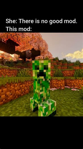 The most polite Creeper in Minecraft... 💀💥 | #shorts #usa