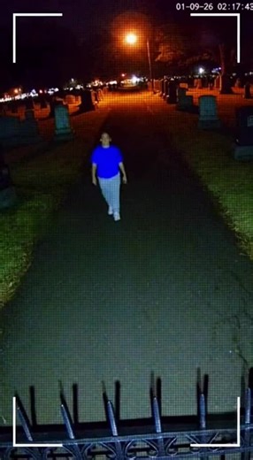 CCTV Captures Shocking Cat Transformations at Graveyard