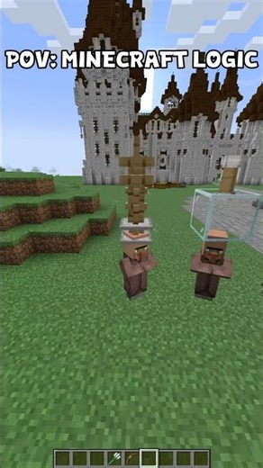 🤯 Minecraft Logic Makes NO Sense… #minecraft #usa