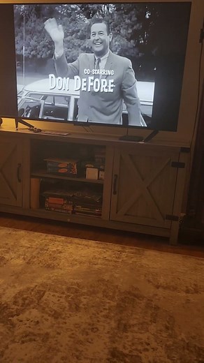 Hazel theme song 🎵 on nick at nite