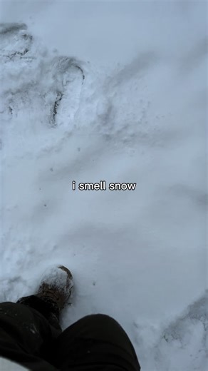 Hello snow ❄️