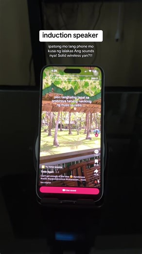 Innovative Induction Speaker for Home Audio