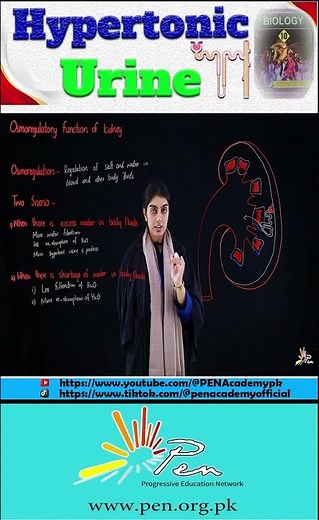 What is Hypertonic Urine I Osmoregulatory function of Kidney I Biology