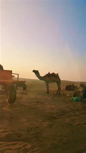 desert 🏜️ rajasthan