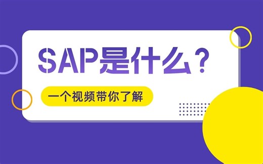 一个视频带你了解SAP