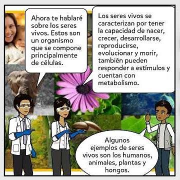 Proyecto integrador: La dinámica del universo. Módulo 14.