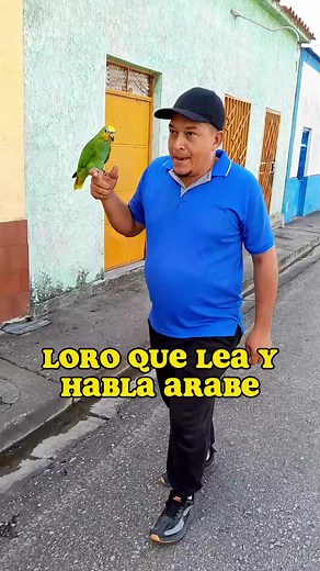 Loro que lee y habla arabe | Chamo Cristian2.0