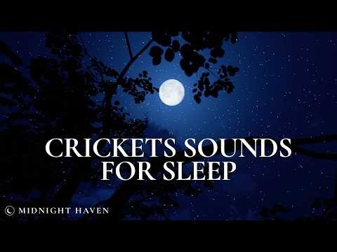 Crickets Sounds for Sleep | 8 Hours of Night Ambience 🦗🌙