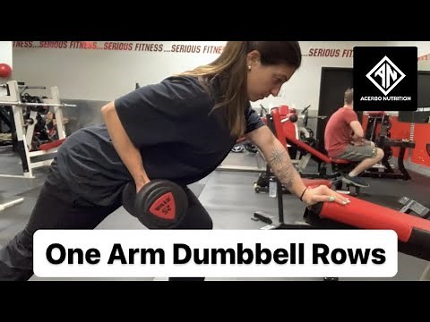 One Arm Dumbbell Row Tutorial