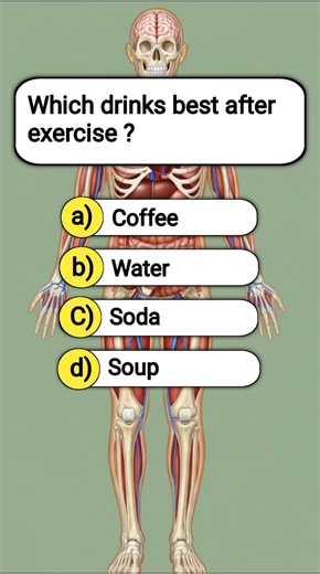 Test your human body knowledge #humanbodyquiz #humanbodyfacts #humananatomy #gkquiz #trivia