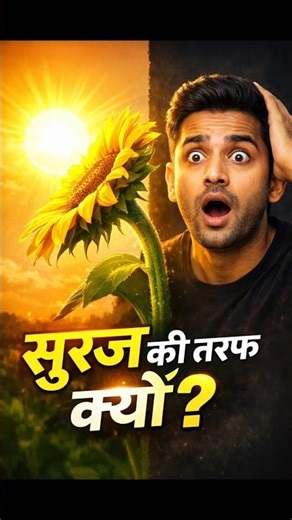 🌞 Sunflower हमेशा सूरज को ही क्यों Follow करता है?