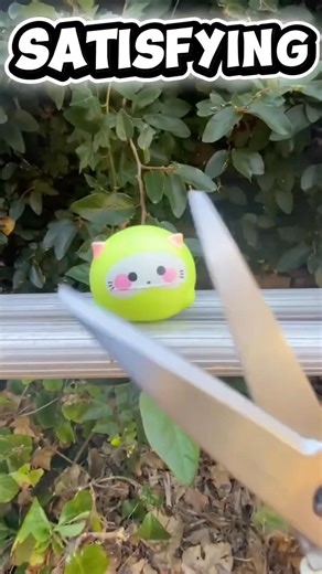 SATISFYING CUTE Kitten EXPLODES #satisfying #cute #kitten en