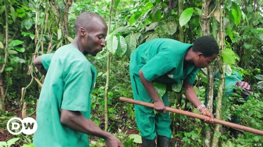 Biodynamic farming in tune with nature