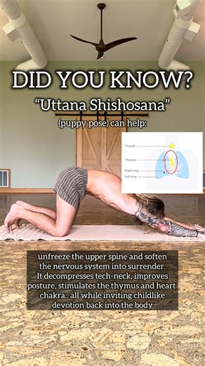 Puppy pose benefits 🤪 for upper back pain and posture correction. Share with a friend! #yogatip