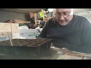 Le potager Saumurois vidéo N° 08 le semis de céleri rave et branche en plaque alvéolée