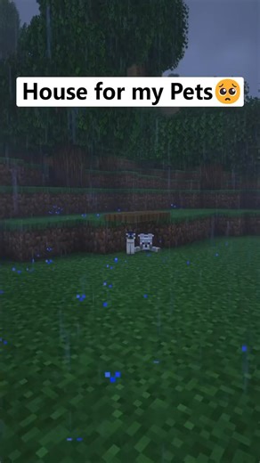 House for my Pets 🐶😸| Download all my builds in Bio❤️ -Follow me for more Tutorial Minecraft❤️ • Save this video and share at friends✨ -If you see this your the BEST 👑 _____________________________________________________ #minecraft #minecraftbuild #minecraftturorial #minecraftinspiration #minecraftredstone #minecraftbuilding #minecraftdaily #minecraftideas #minecraft #minecrafthouse #minecraftonly #minecrafthacks #minecrafter #humoky | Craft Universe