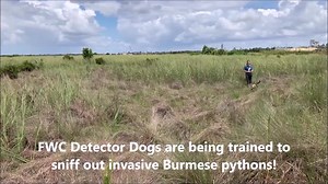 19K views · 177 reactions | The state of Florida recently began...