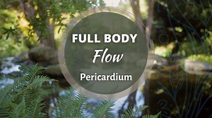 Full Body Flow - Pericardium (61 mins) - Full Body Flow - Qi Gong for Vitality