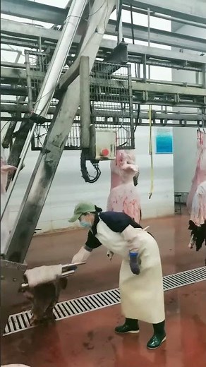 Machine-Based Goat Skinning Modern Slaughter Process #shorts