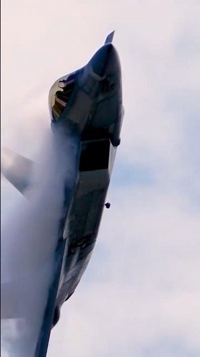F-22 Raptor’s Breathtaking Cobra Maneuver!